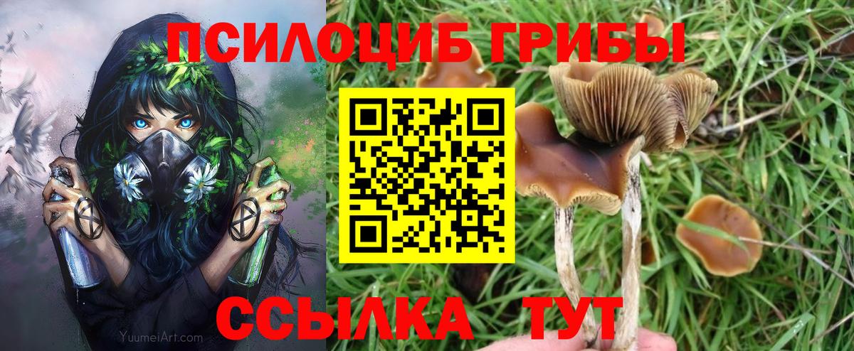 Галлюциногенные грибы GOLDEN TEACHER  Псилоцибиновые грибы Psilocybe  Вход с VPN  Коммунар 